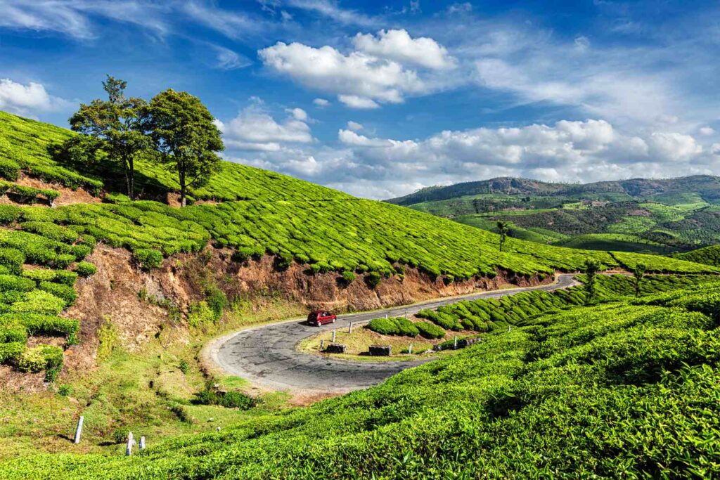 Tea gardens in Munnar Kerala – scenic hill station for travelers