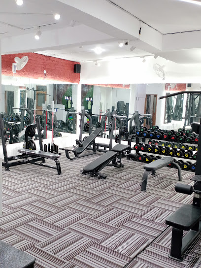 3Monkey's Gym Dwarka
