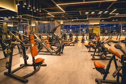 Cult DLF Phase 1, Gurgaon (Arjun Marg) | Fitness Center in DLF Phase 1, Gurgaon