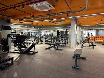 easyGym Model Town