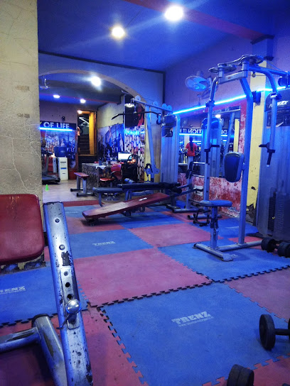 Fat 2 Fit Fitness Club
