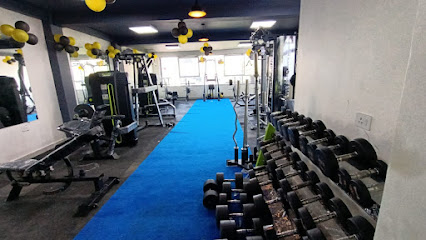 IMPACT GYM