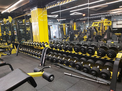 Muscle Junkie - Available on Cult Fit | Gyms In Model Town