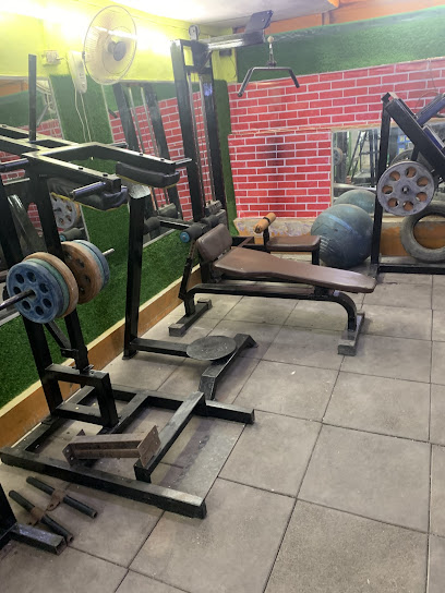 Muscle Ocean Gym