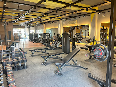 Noida Outdoor Gym Sector 52