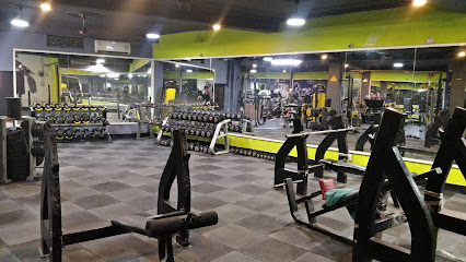 The Anabolic Gym