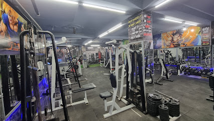 The Ultimate Fitness Club